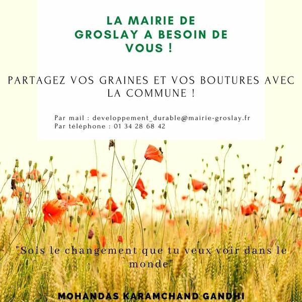 OPERATION : végétalisons notre commune !