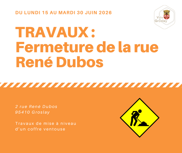 Travaux rue René Dubos