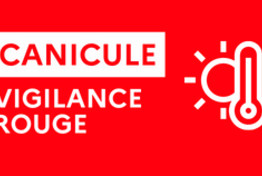 Canicule 