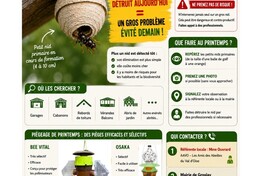 FRELON À PATTES JAUNES : AGISSONS DÈS MAINTENANT