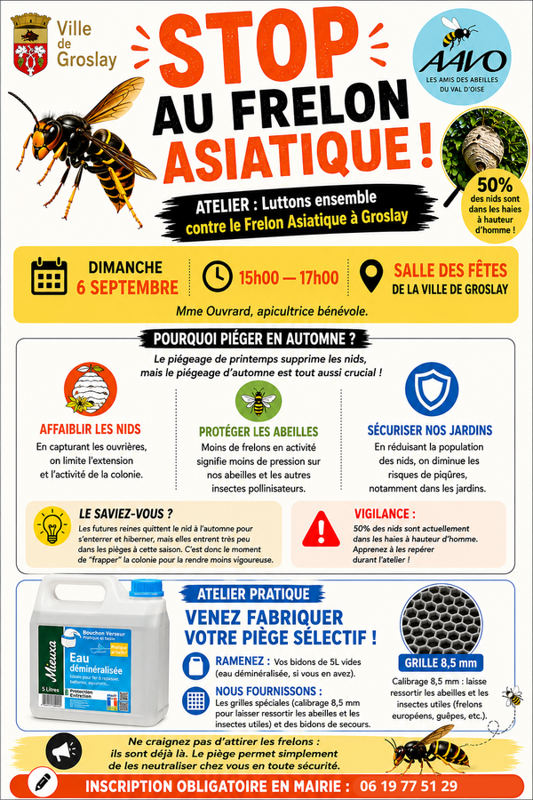 Stop au frelon asiatique